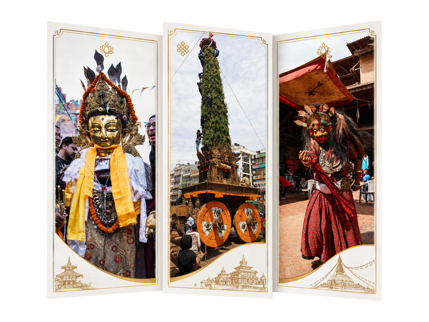 Brochure preview